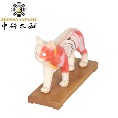 28 سنتيمتر القط الوخز بالإبر نموذج التدريس الطبي الصيني الوخز بالإبر نموذج الجسم PVC