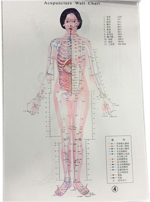 الطب الصيني التقليدي المفرد علاج آمن وفعال