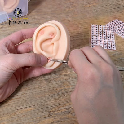 استشارة رعاية صحية فعالة مع 100 بذرة طبيعية من نبات فاكاريا للآذان وتحذيرات