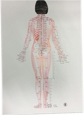 الطب الصيني التقليدي المفرد علاج آمن وفعال