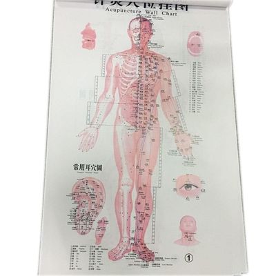 الطب الصيني التقليدي المفرد علاج آمن وفعال