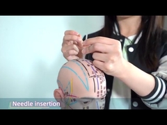 طباعة أذن Hwato الضغط على الإبر بشكل فعال في الدورة الدموية